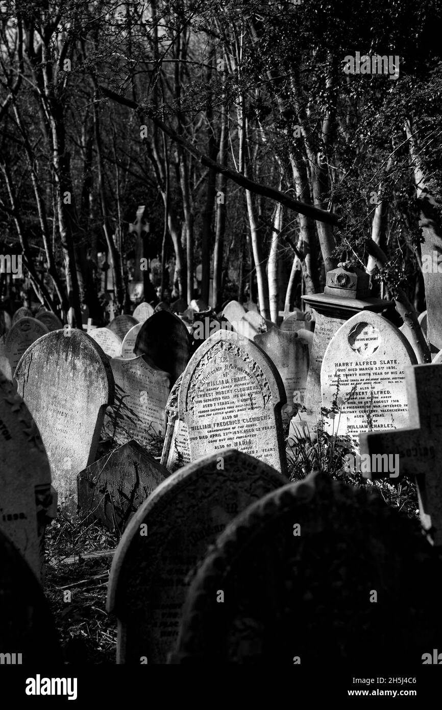 Headstones illuminated by sunlight at Highgate Cemetery East, London, UK Stock Photo