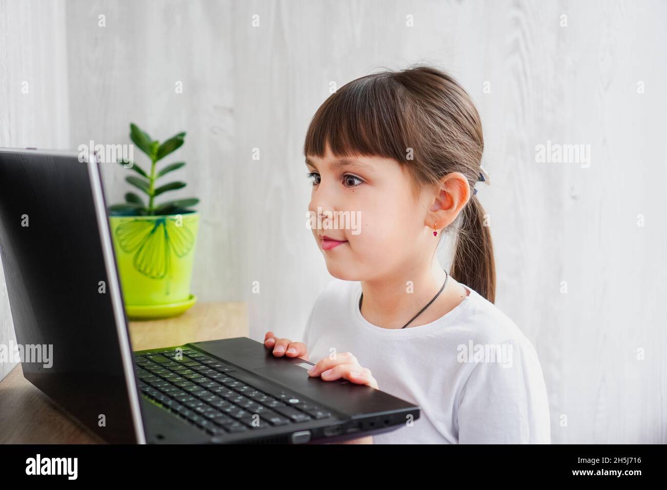 Indoor shot of cute dark haired female child looking at notebook very carefully. Stock Photo