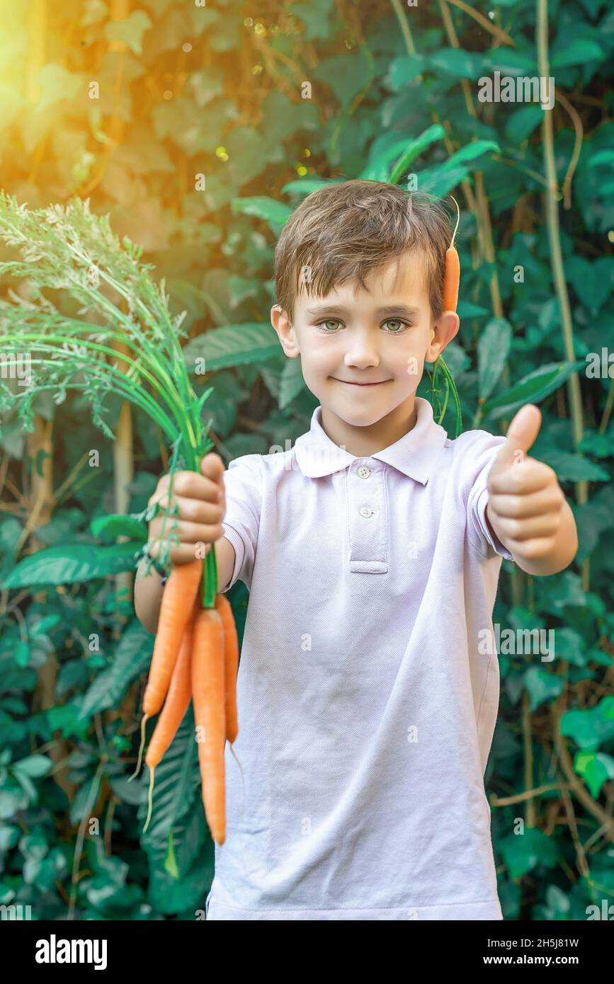 Happy green-eyed boy showing a bunch of carrots and holding up his thumb. Healthy eating concept for children Stock Photo