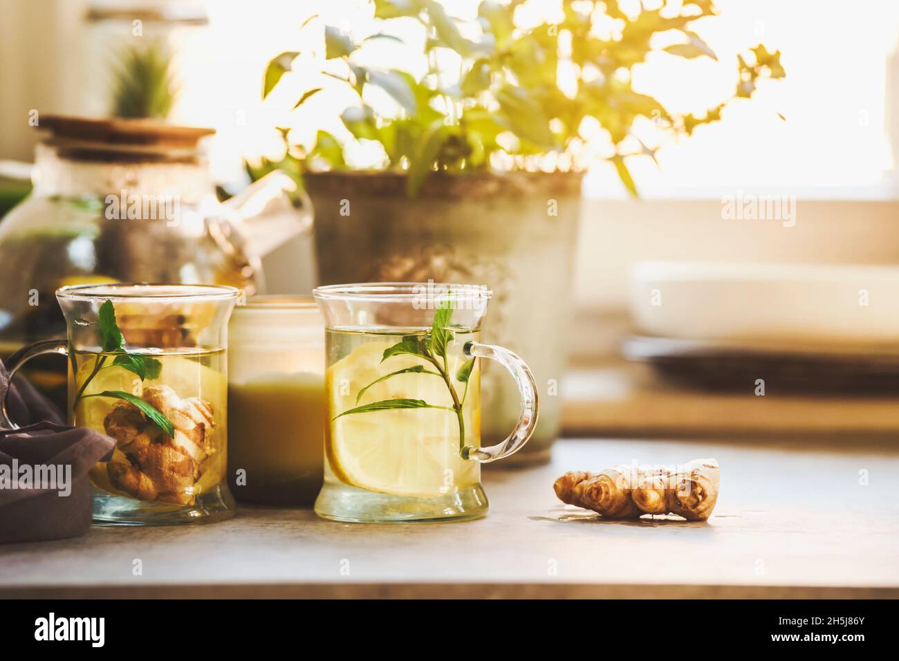 Two glass cups with fresh lemon and ginger tea on kitchen table with ginger root, herbs and kitchen utensils at window background. Healthy homemade te Stock Photo