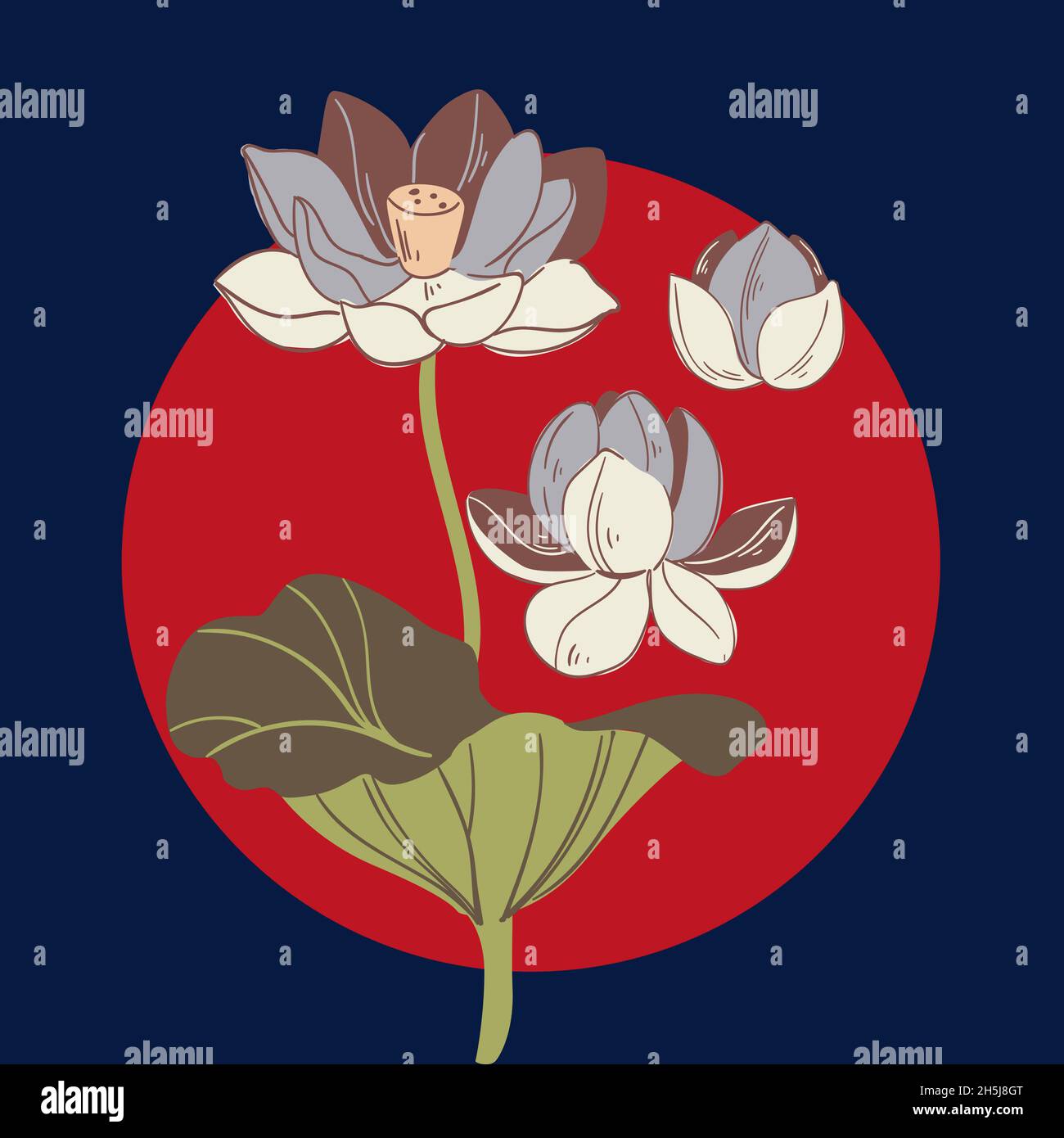 Vector set of hand drawn lotus flowers and leaves. Sketch floral botany ...
