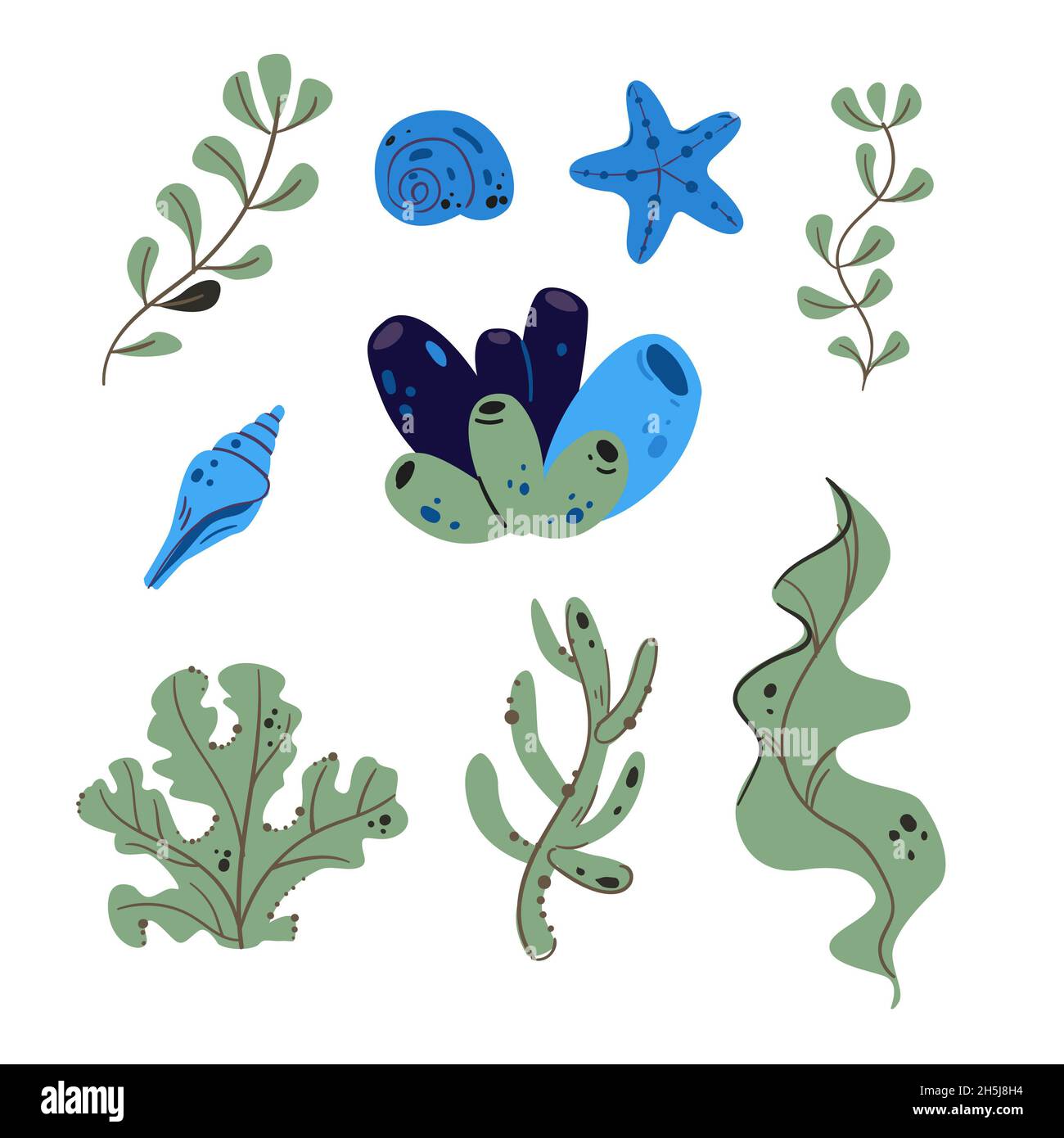 Algae vector Cut Out Stock Images & Pictures - Page 3 - Alamy