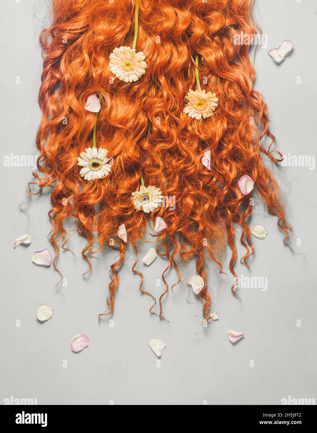 Long red curly hair with white, yellow and pink petals on pale grey background. Beauty hair concept with flowers. Hairdresser background. Top view. Stock Photo