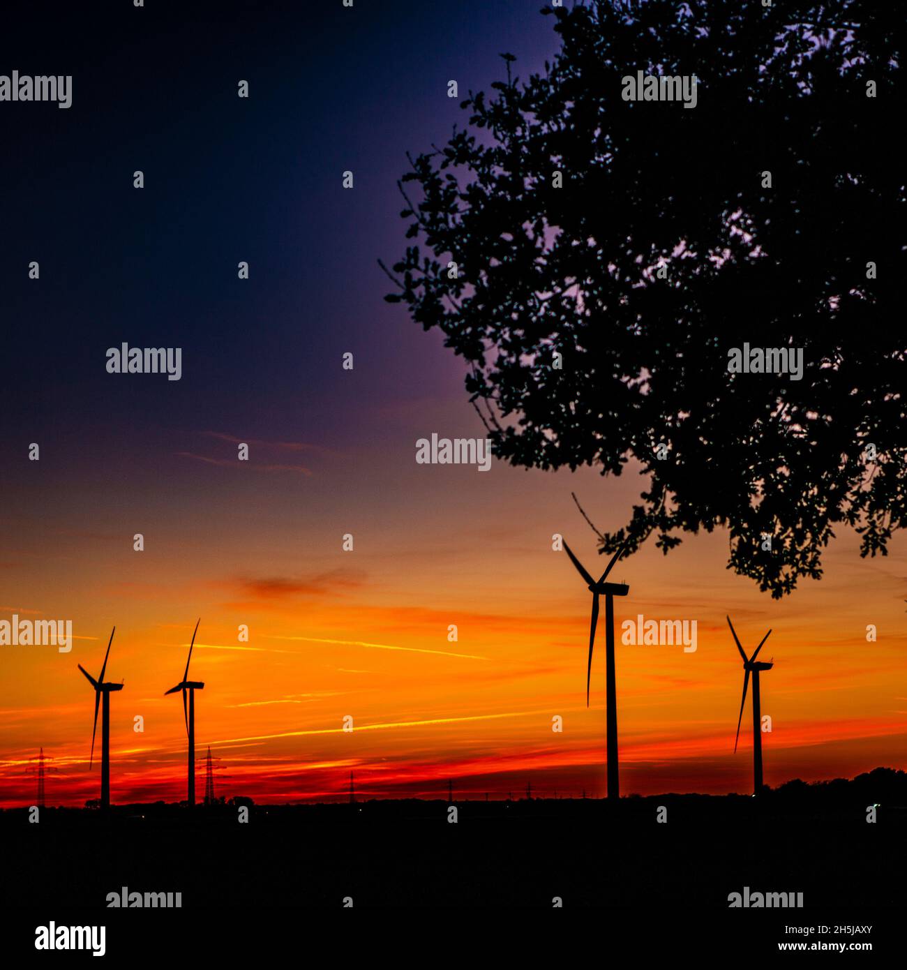 Windräder zur Energiegewinnung im Sonnenuntergang. Im Gegensatz zur Solarenergie funktioniert Windenergiegewinnung auch Nachts Stock Photo