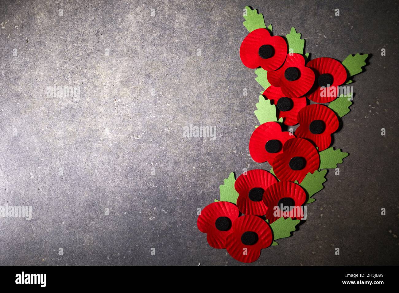 World War remembrance day. Red poppy is symbol of remembrance to those