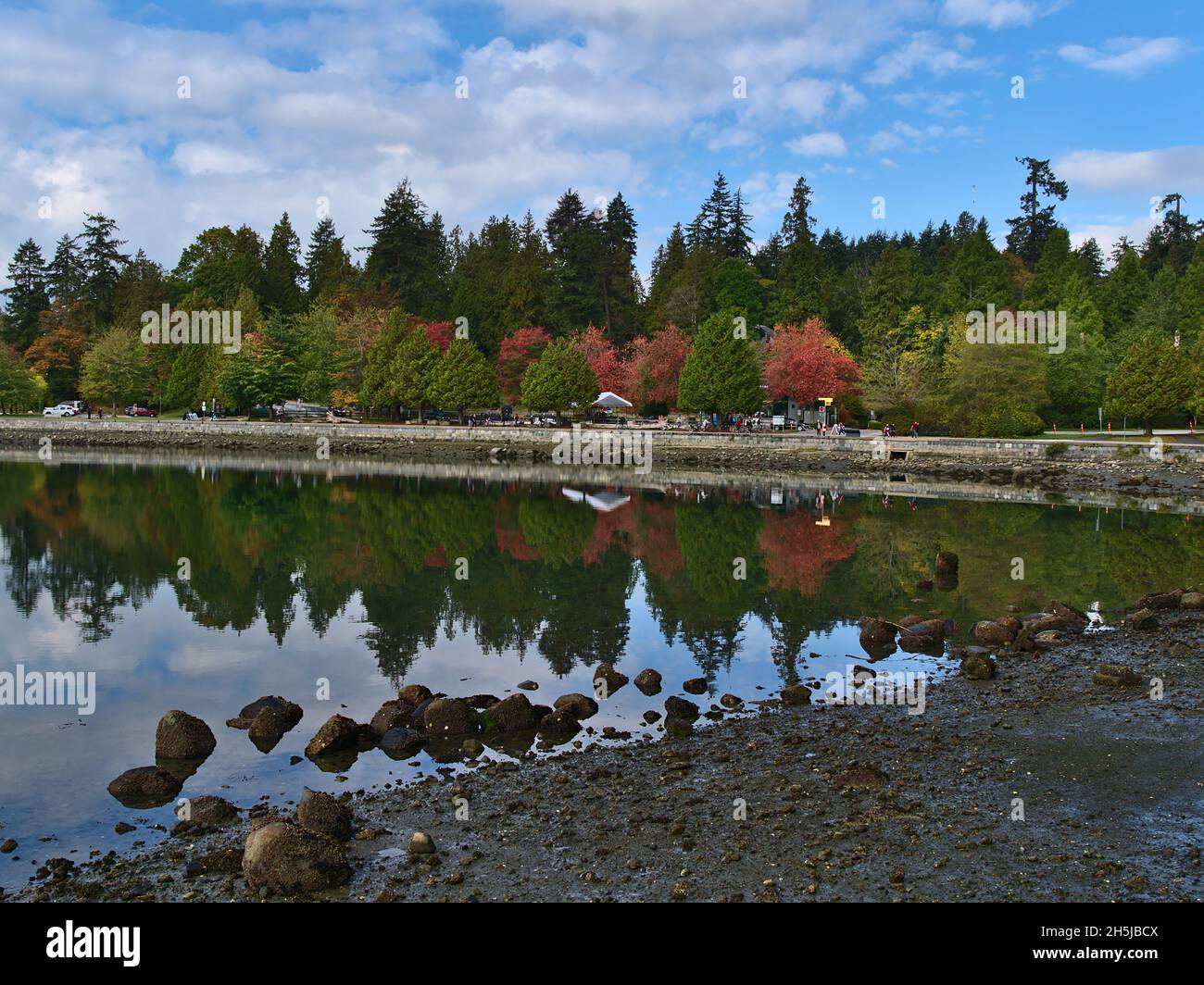 Beautiful view of the Seawall in Stanley Park, Vancouver, British Columbia, Canada with colorful trees reflected in the clear water of the marina. Stock Photo