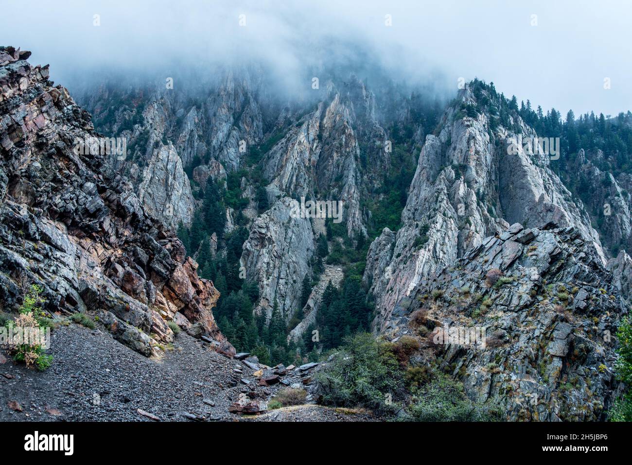 Storm Mountain - Big Cottonwood Canyon - Wasatch - Salt Lake City - Utah Stock Photo