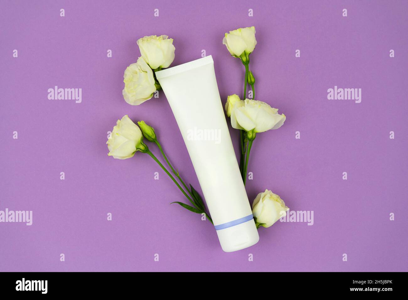 Hand cream, moisturizer, toothpaste, lotion jar plastic tube with white flowers lilac background. Brand spa packaging mock up. Hygiene concept Stock Photo