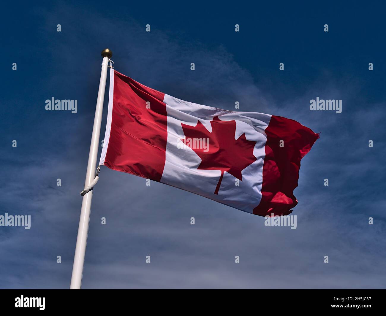 Low angle view of flying Canadian national flag with white and red colors and maple leaf in center on flagpole in front of blue sky with clouds. Stock Photo