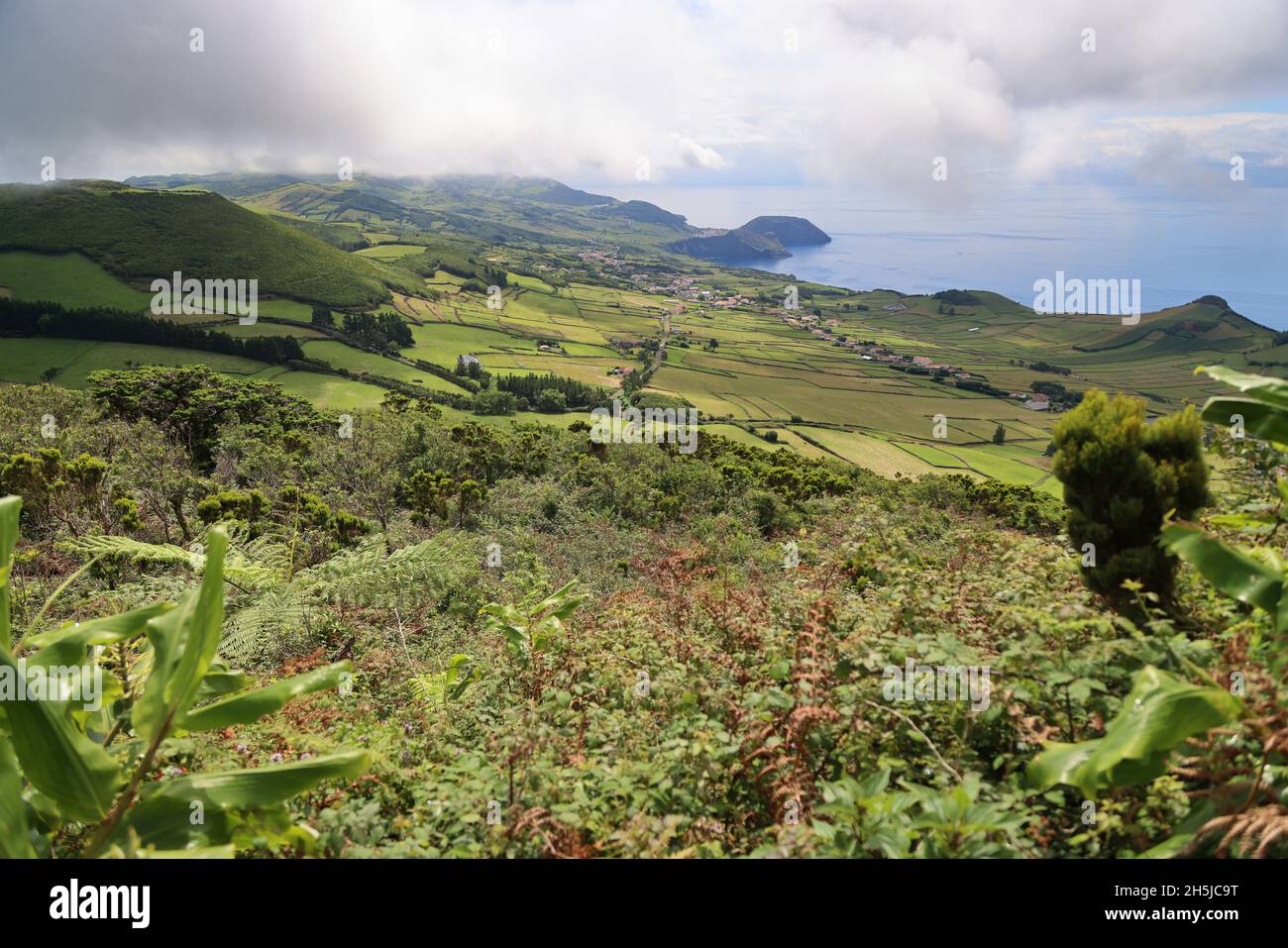 The green landscape of the island of Sao Azores Stock Photo Alamy