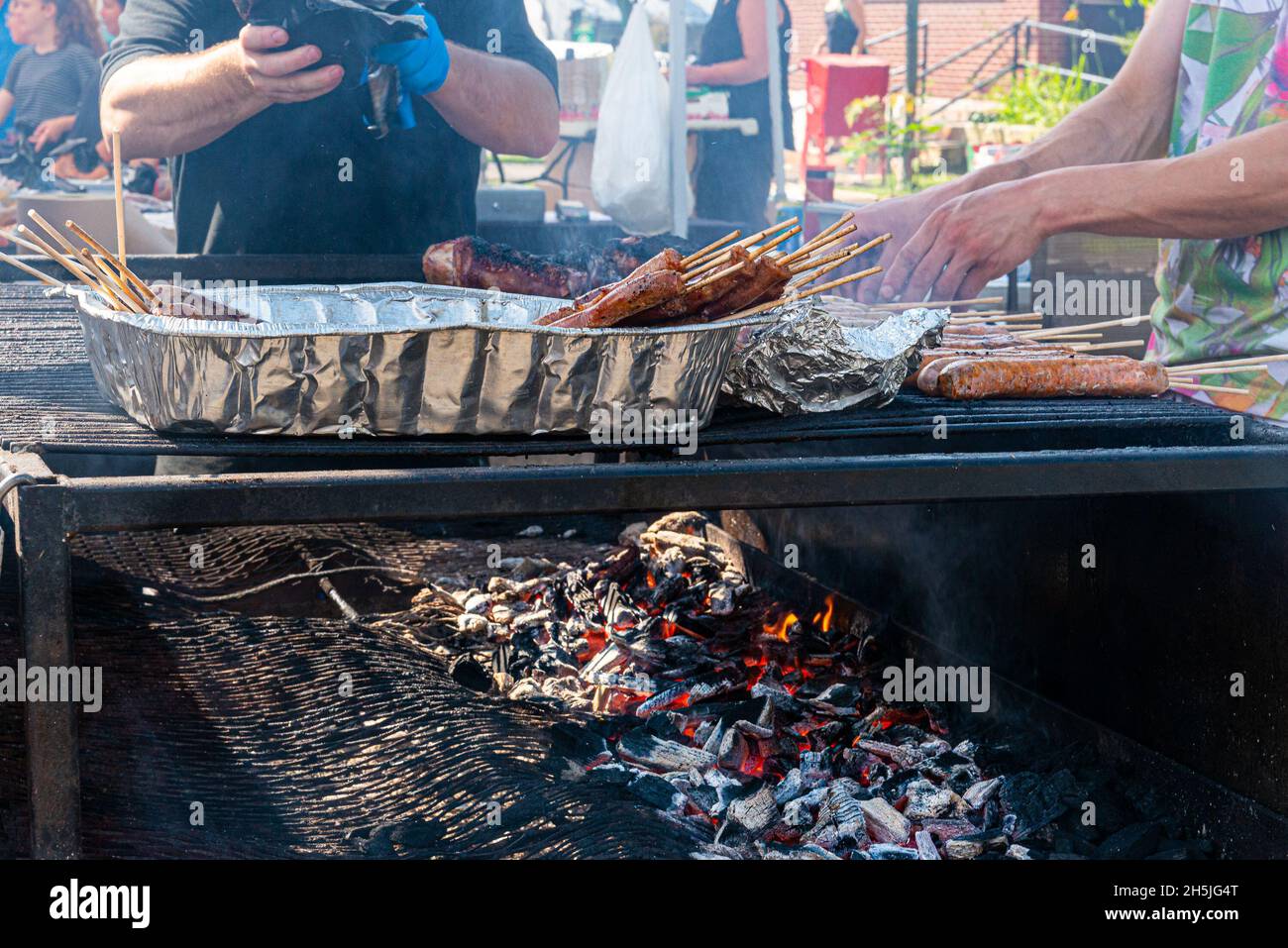 succulent meat grilled on the fire-5 Stock Photo