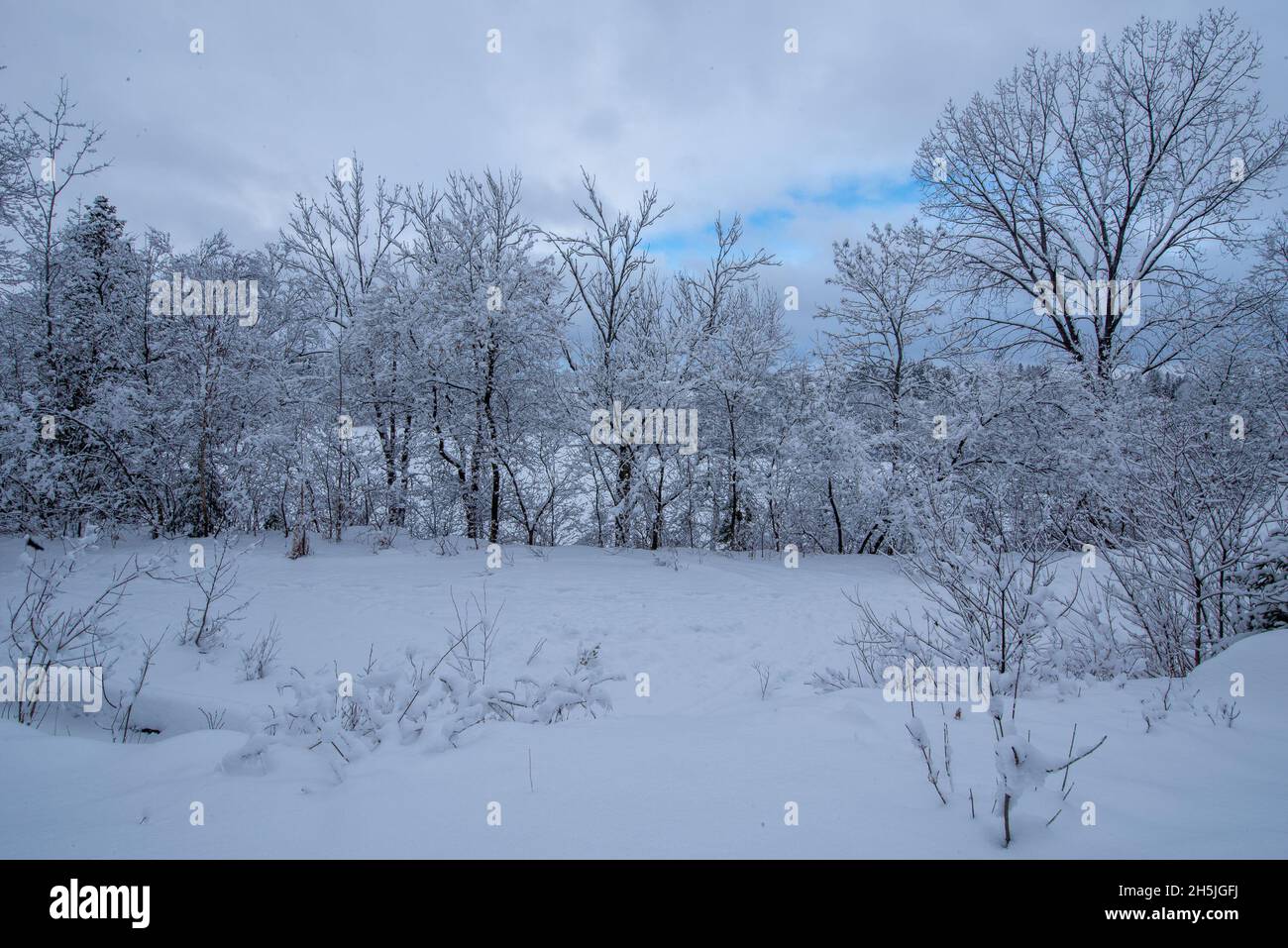 snowy landscape-8 Stock Photo