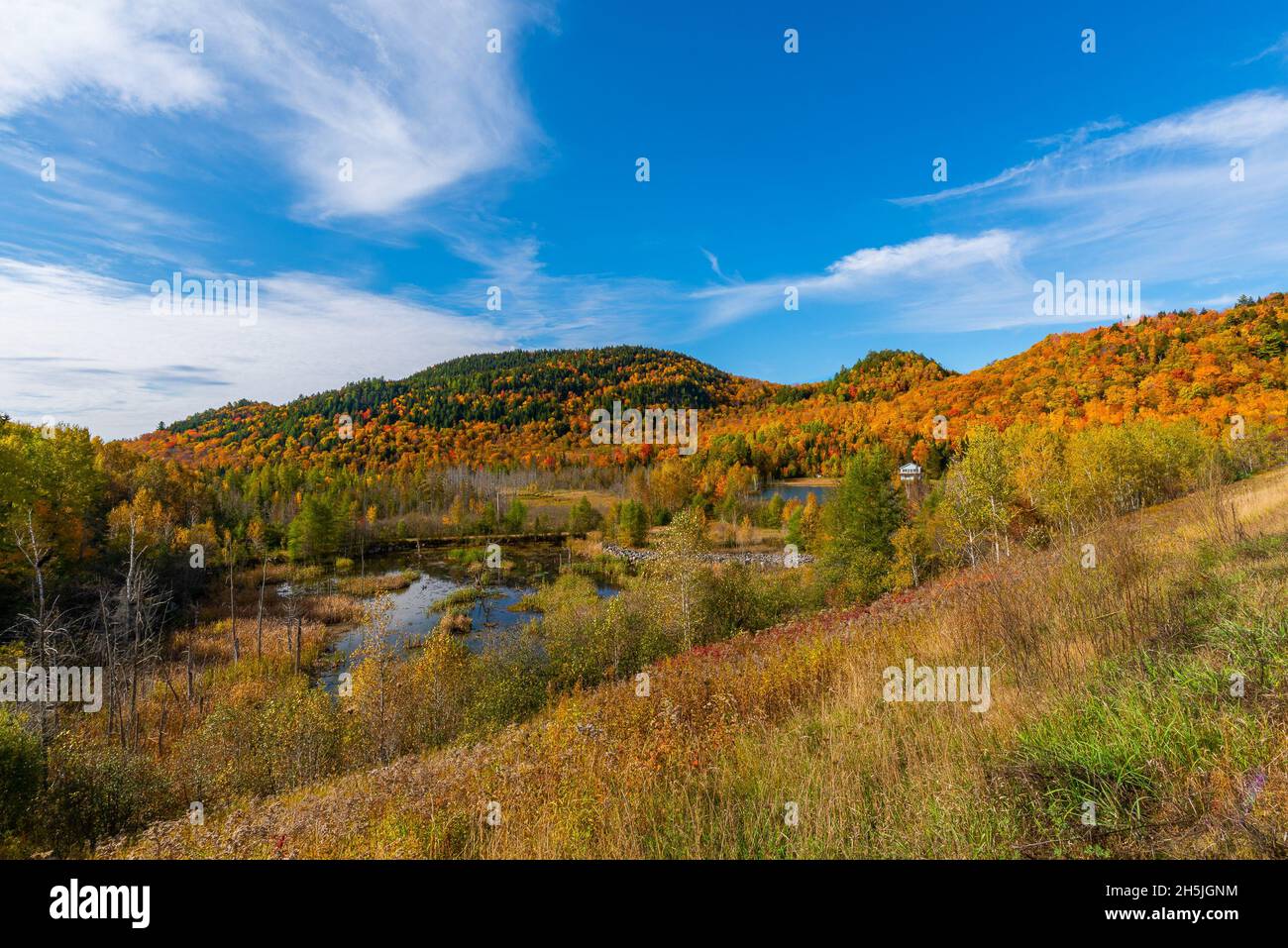 autumn landscape under blue sky-4 Stock Photo