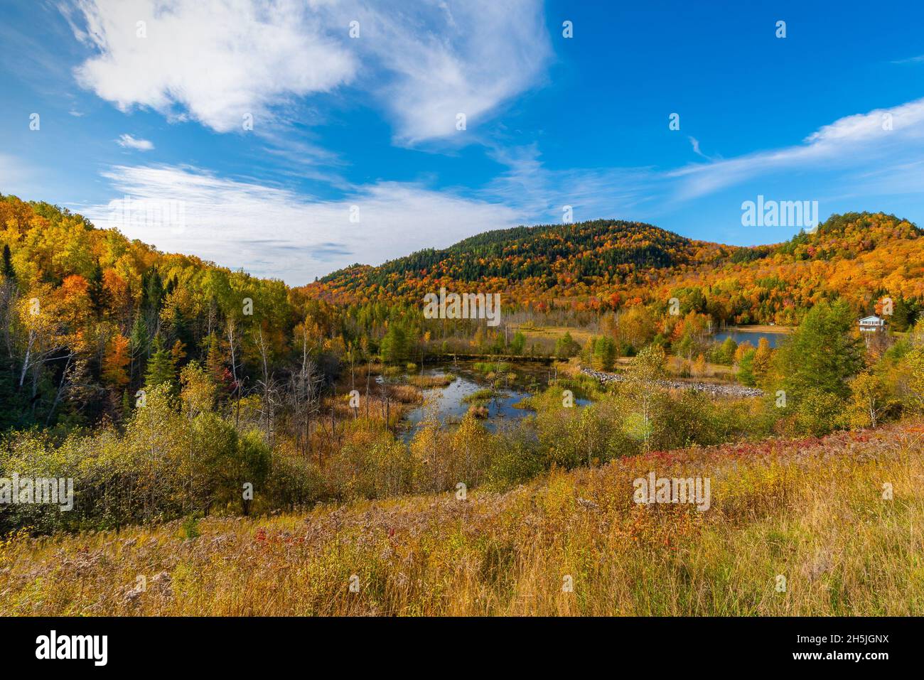 autumn landscape under blue sky-3 Stock Photo