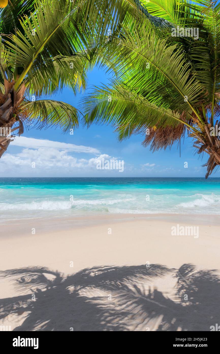 Tropical beach and sea with white sand and coco palms. Tropical background. Stock Photo