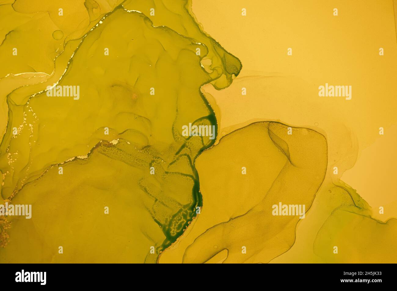 Gold Fluid Art. Liquid Abstract Background. Stock Photo