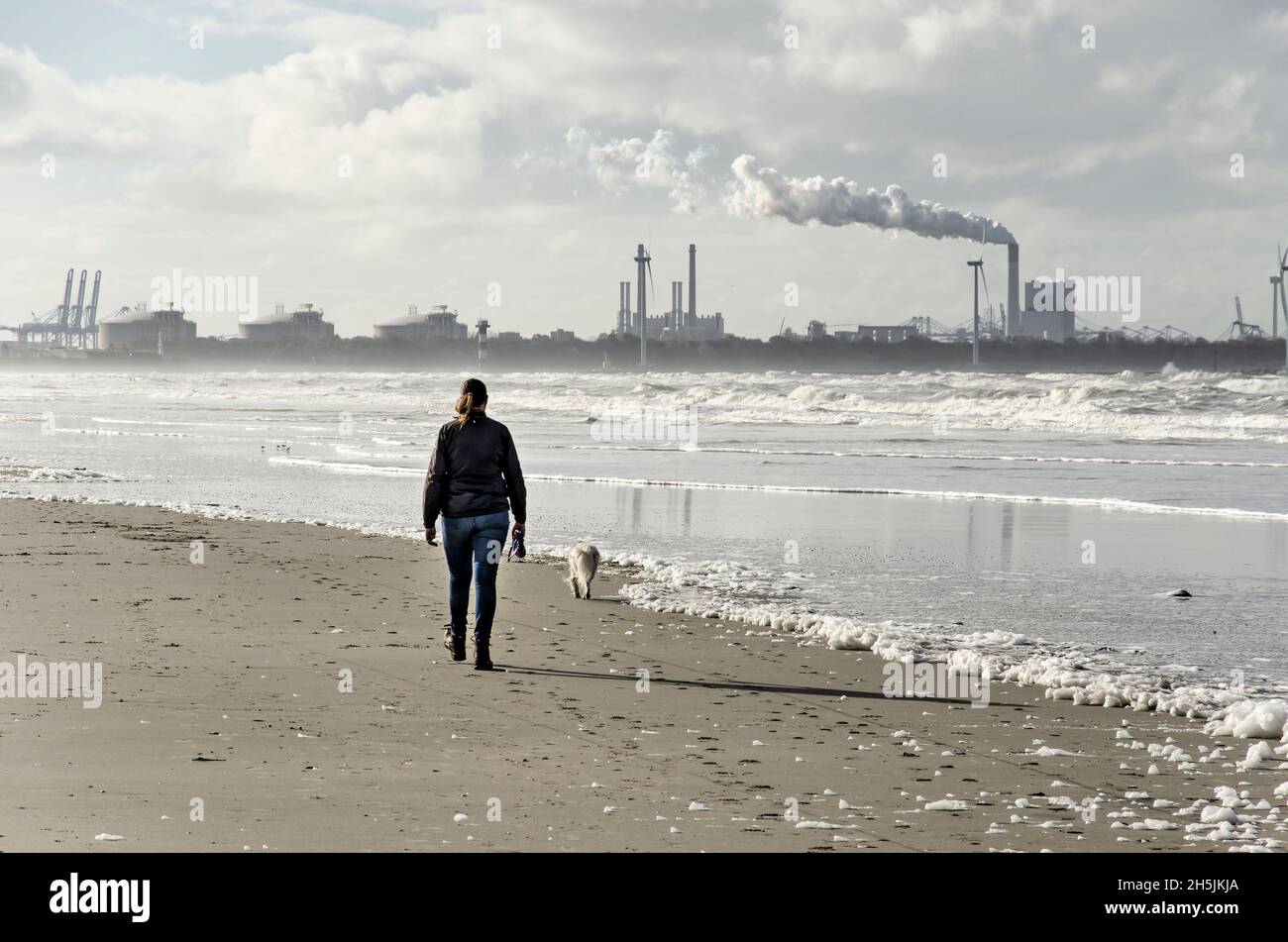 Hook of Holland, The Netherlands, November 5, 2021: woman walking the dog on the beach close to the shoreline, with the industry of Maasvlakte in the Stock Photo