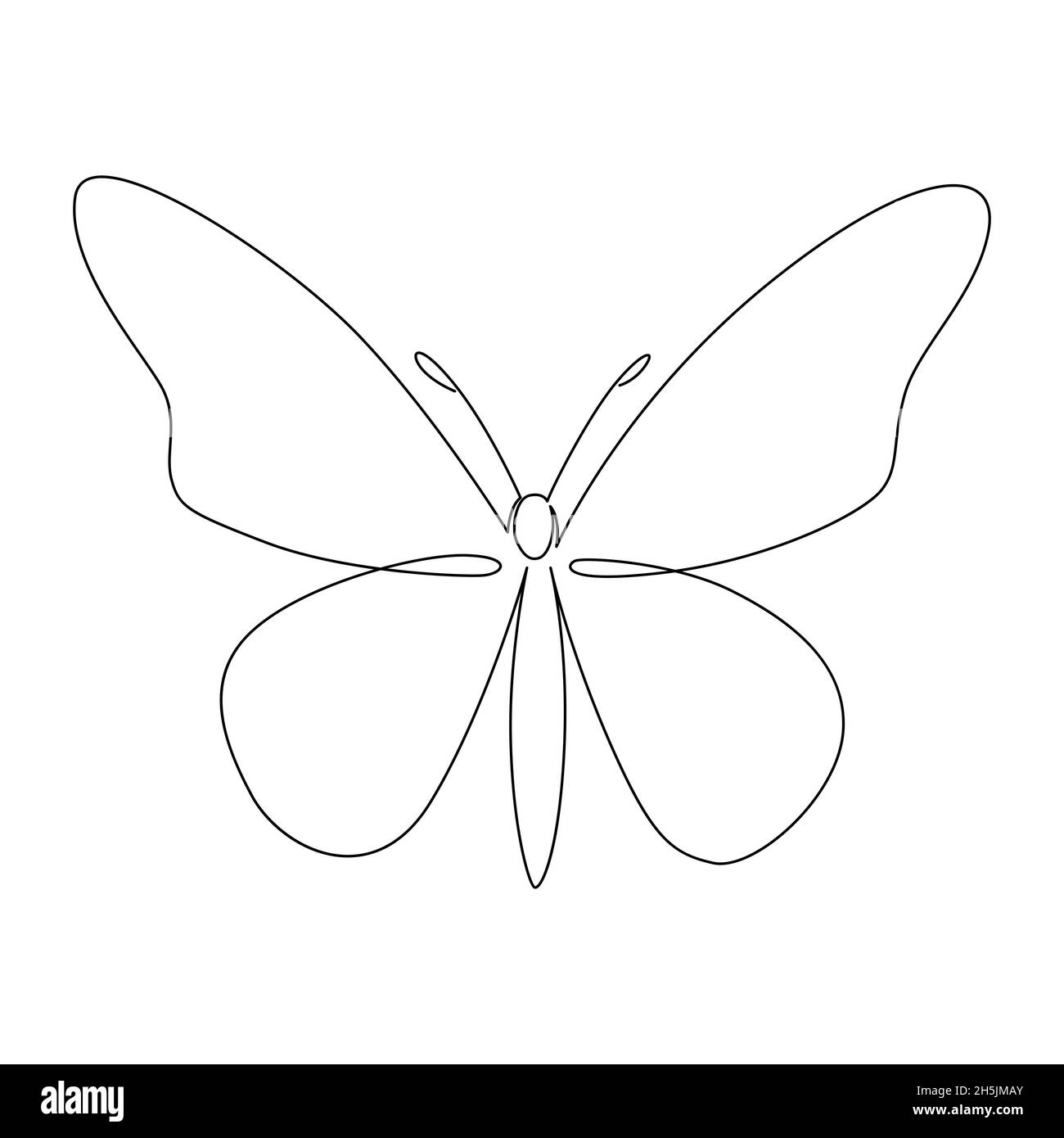 Continuous Butterfly line art. Simple digital illustration Stock Vector