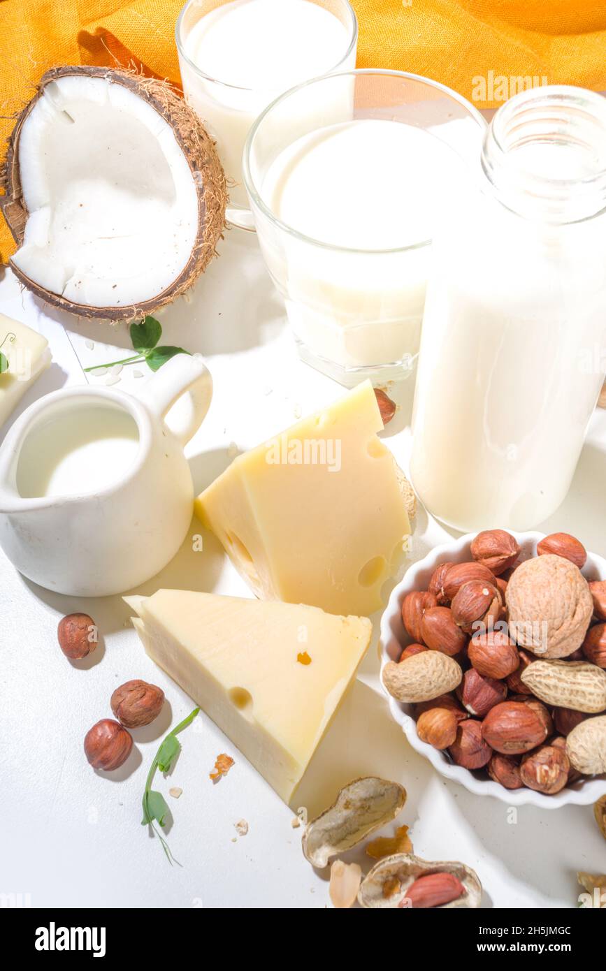 Vegan nondairy products. Plantbased alternative dairy products milk