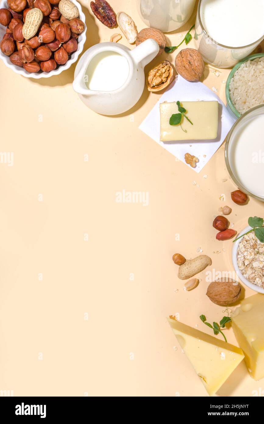 Vegan nondairy products. Plantbased alternative dairy products milk