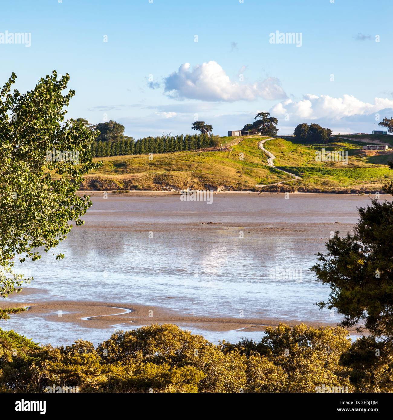 North Island Rivers Tidal river landscape in the North Island of New Zealand Stock Photo ...