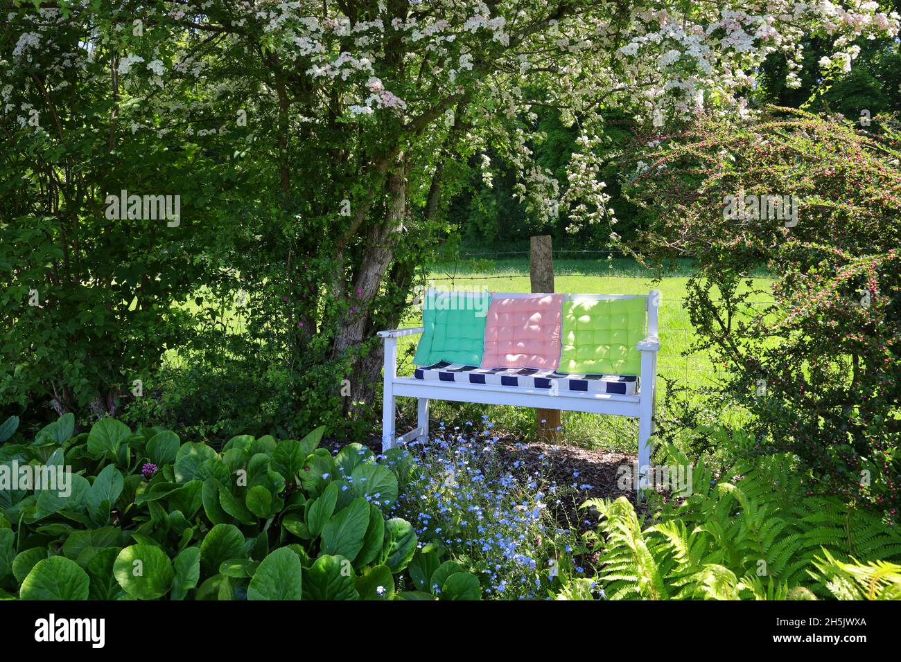 Shaded garden seat Stock Photo
