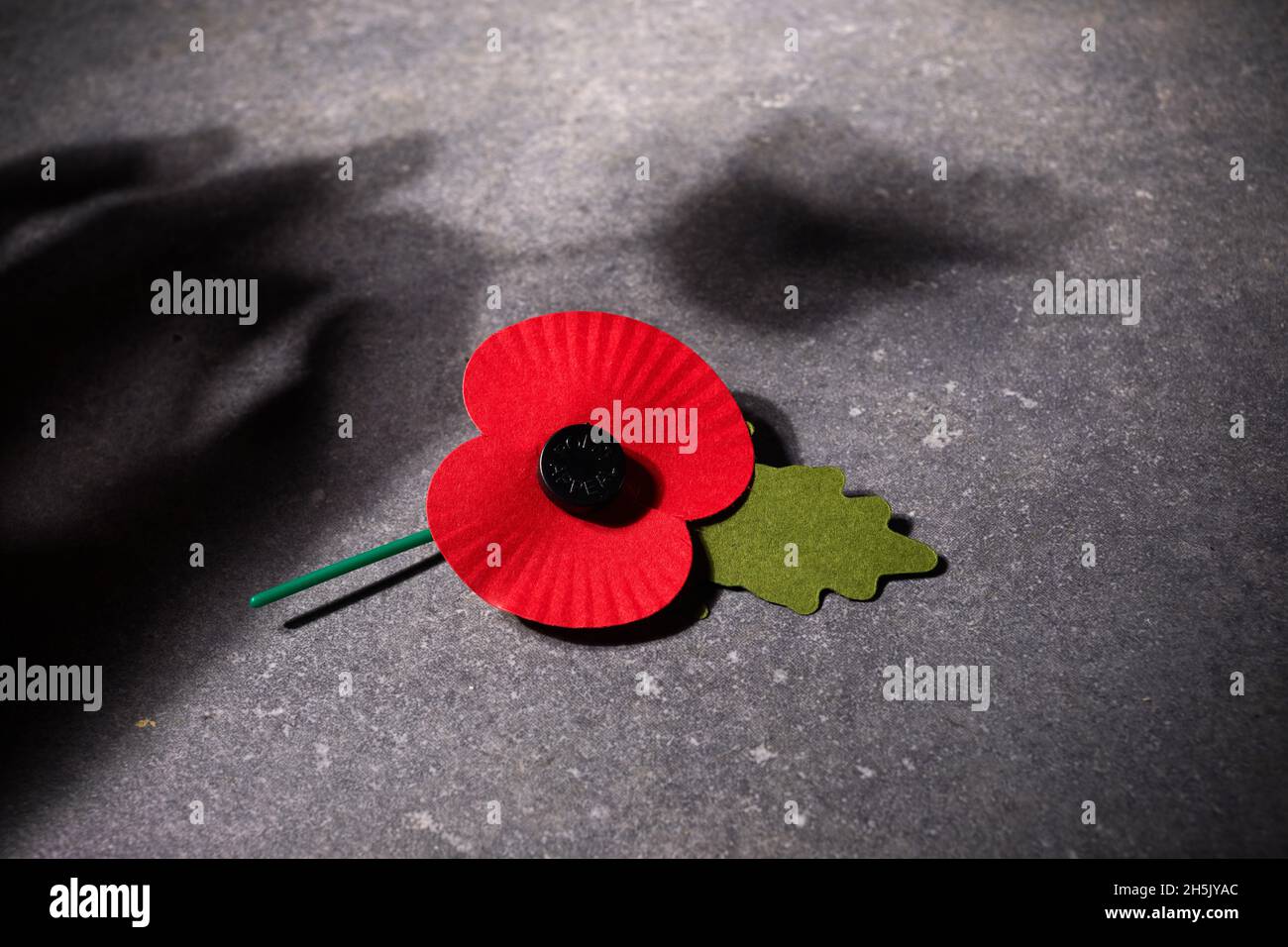 World War remembrance day. Red poppy is symbol of remembrance to those