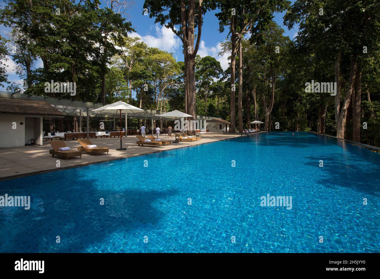 Bright blue water of a swimming pool at the Taj Exotica Hotel, Havelock Island, Andaman and Nicobar Islands, India Stock Photo