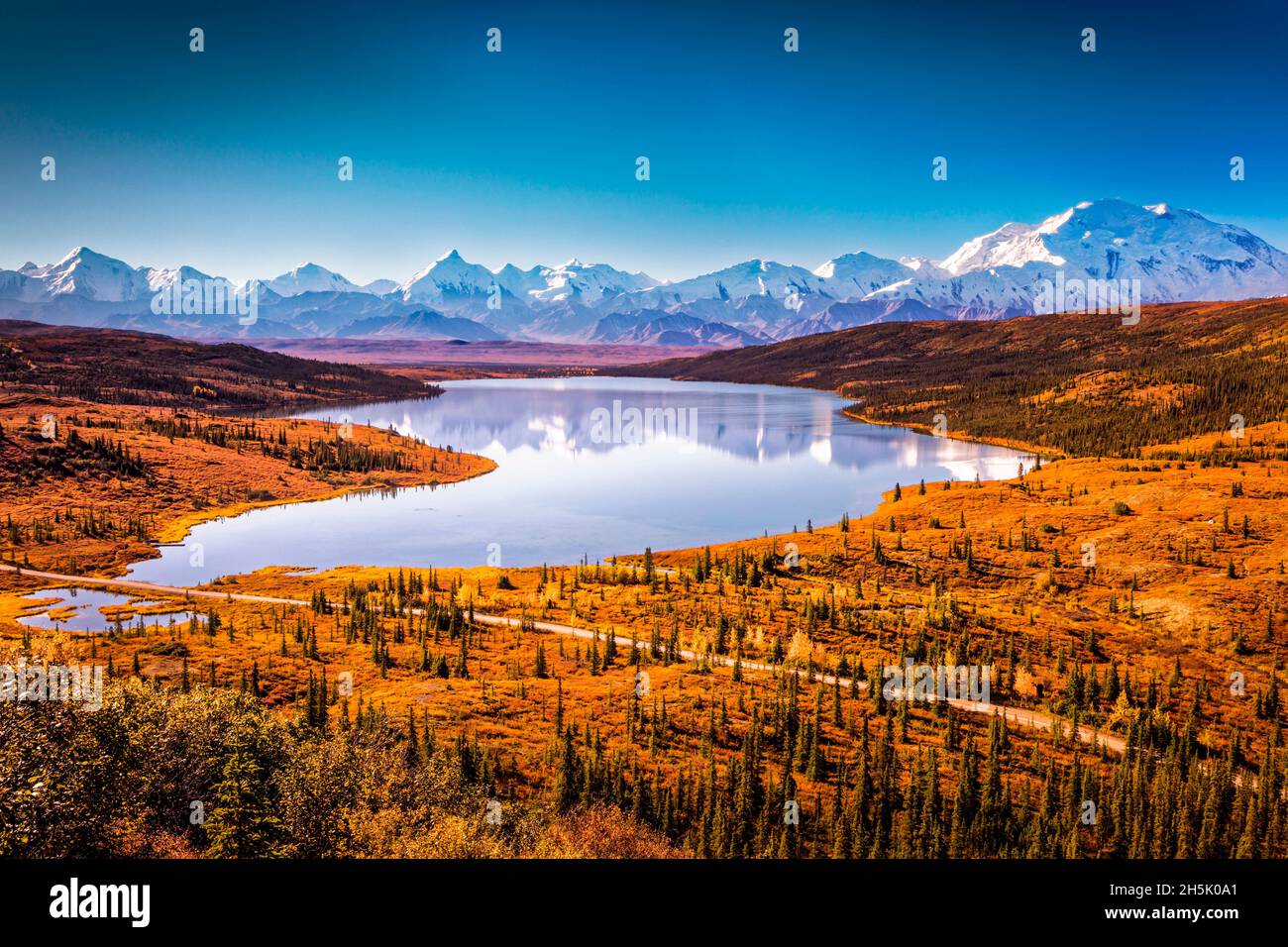 Mount Denali (McKinley) and Wonder Lake at sunrise with autumn coloured tundra and a blue sky, Denali National Park and Preserve, Interior Alaska Stock Photo