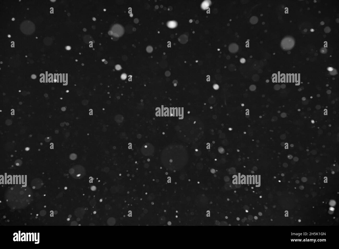 White Lights Over Dark Background Defocused, Falling snow on black background Stock Photo