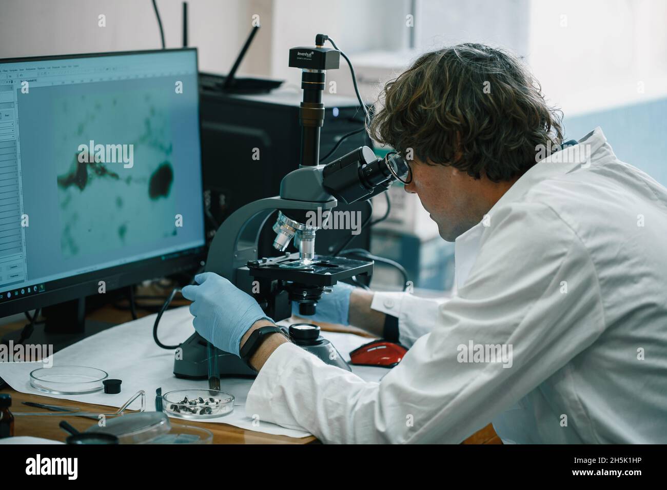 Scientist examines cannabis sativa mold through an electron microscope Stock Photo