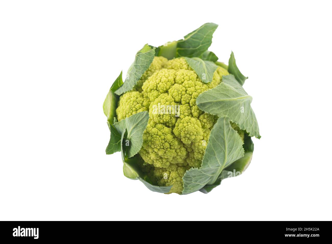 Green organic fresh cauliflower. Stock Photo