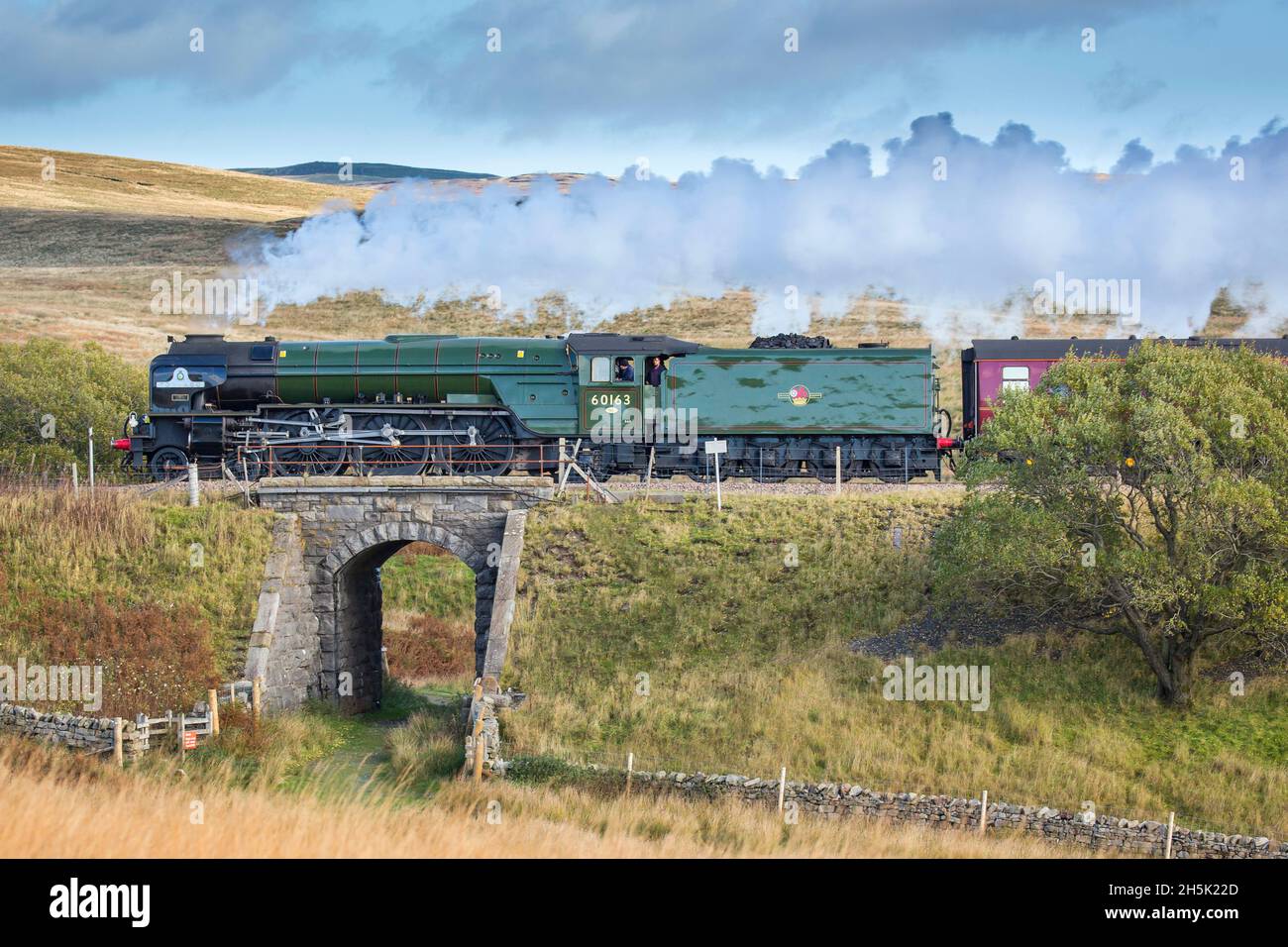 'Tornado' steam train near Ribblehead Yorkshire Dales Stock Photo