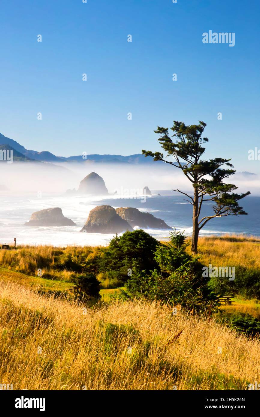 morning fog adds beauty to Ecola State Park looking south to Haystack Rock and Cannon Beach.Oregon Coast, Pacific Northwest. Pacific Ocean. Oregon Stock Photo