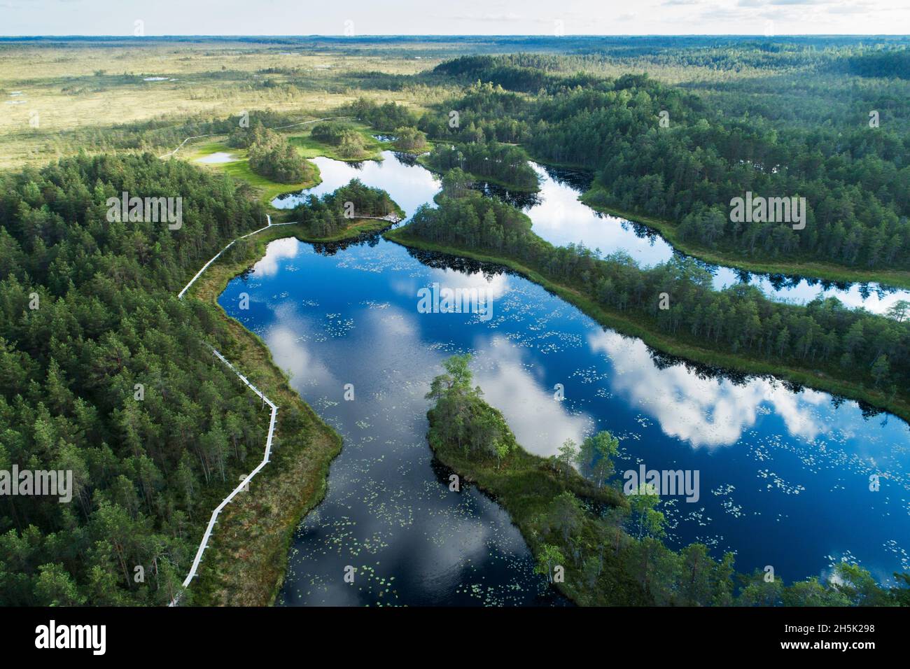 An aerial of a summery bog lakes with cloud reflection on a calm ...