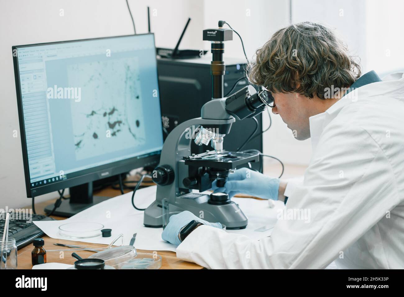 Scientist examines cannabis sativa mold through an electron microscope Stock Photo
