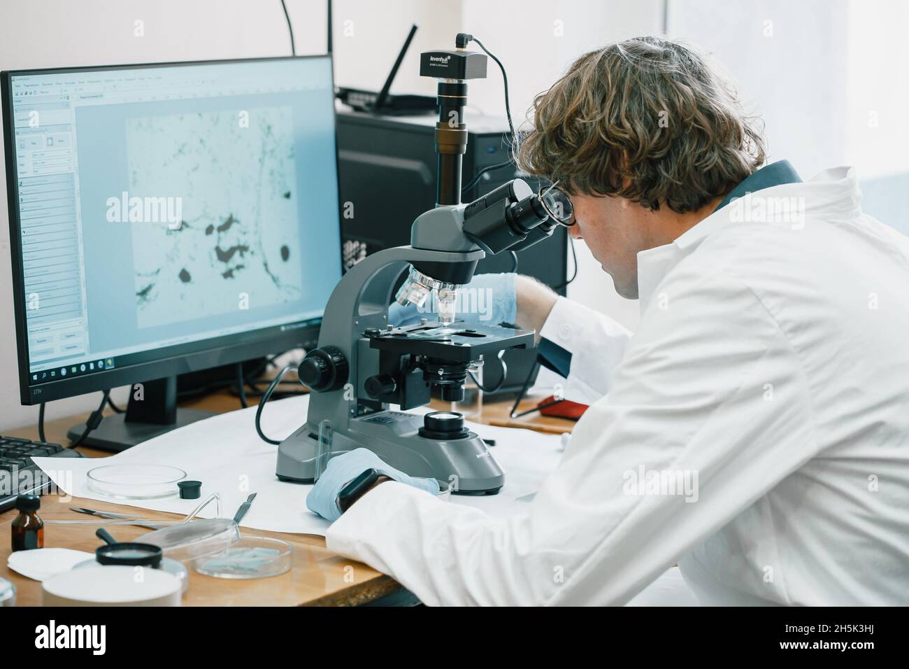 Scientist examines cannabis sativa mold through an electron microscope Stock Photo