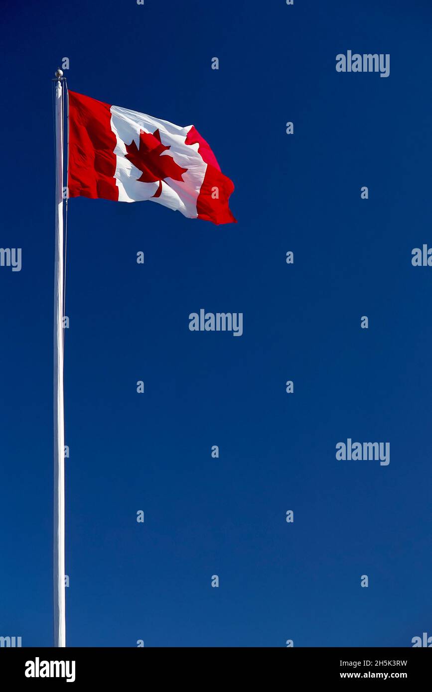 Canada political flag hires stock photography and images Alamy