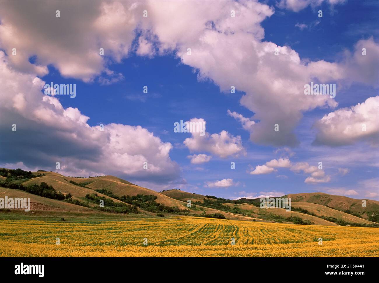 Qu'appelle valley hi-res stock photography and images - Alamy