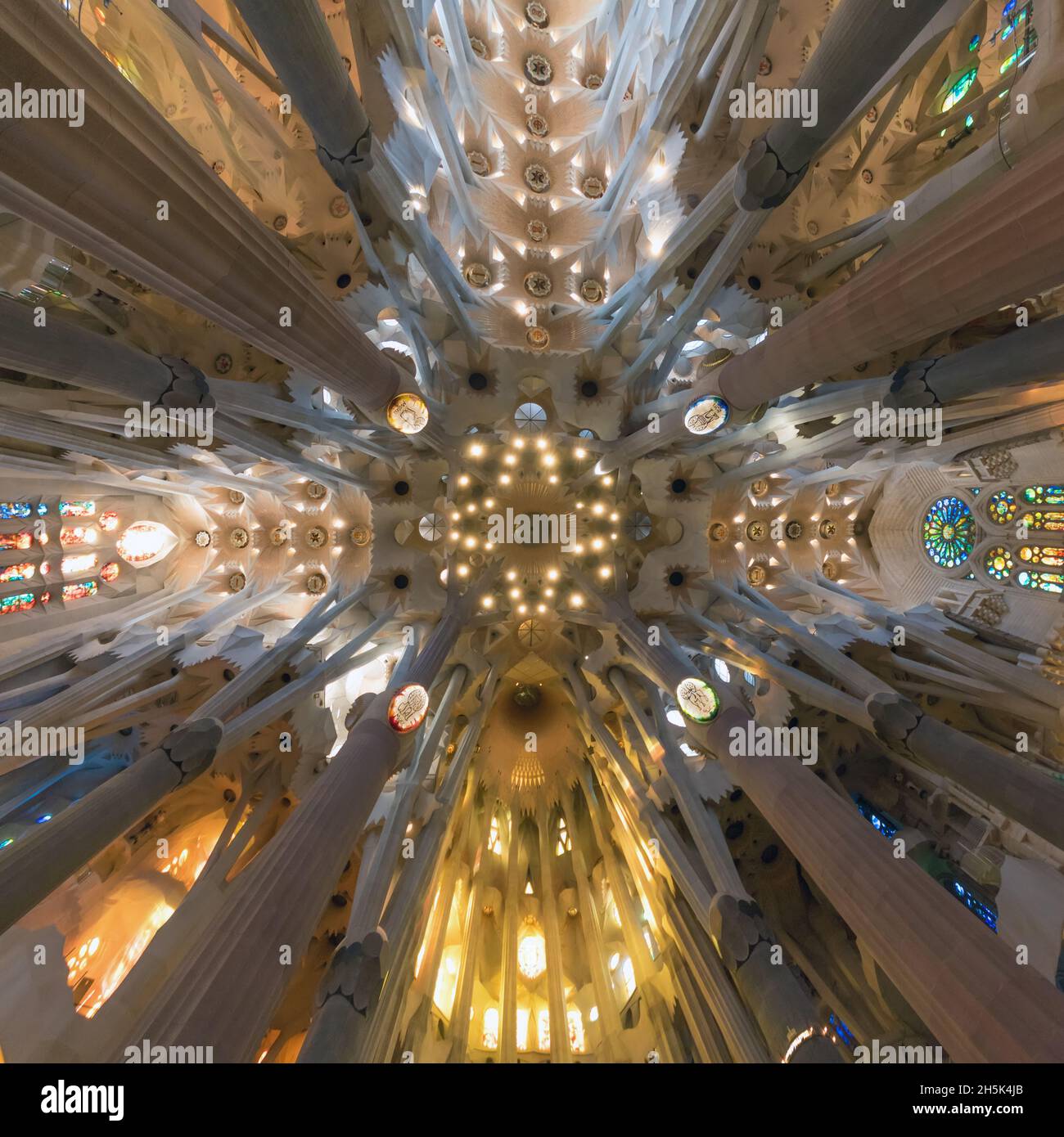 Columns ceiling sagrada familia cathedral hi-res stock photography and ...