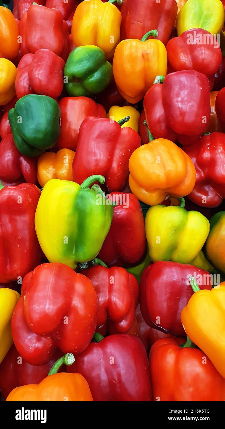 A pile of red green and orange bell peppers fully filling the picture ...