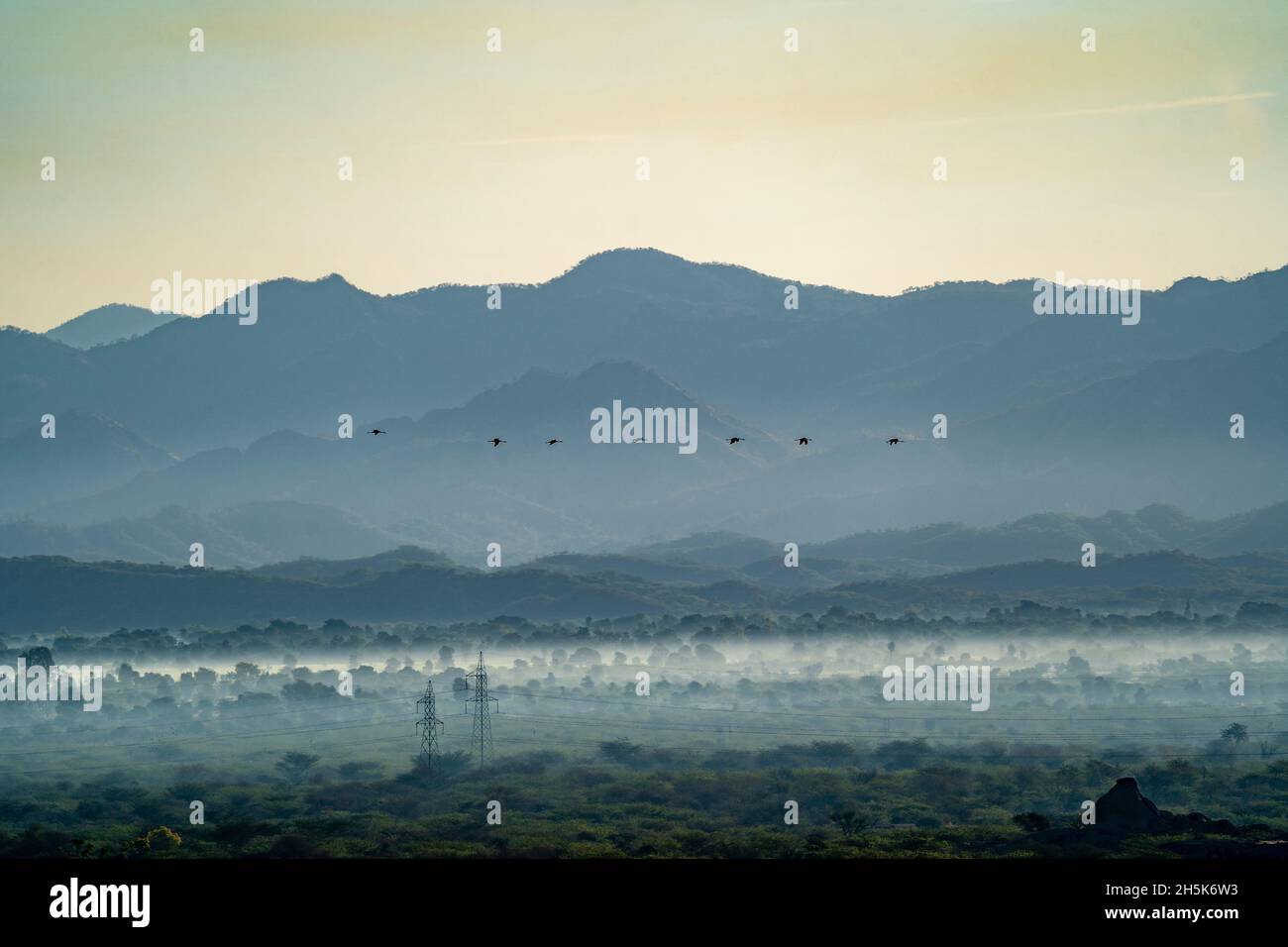 The landscape surrounding a dam lake with birds flying over the desert and silhouette of the Aravali Hills in the Pali Plain of Rajasthan Stock Photo