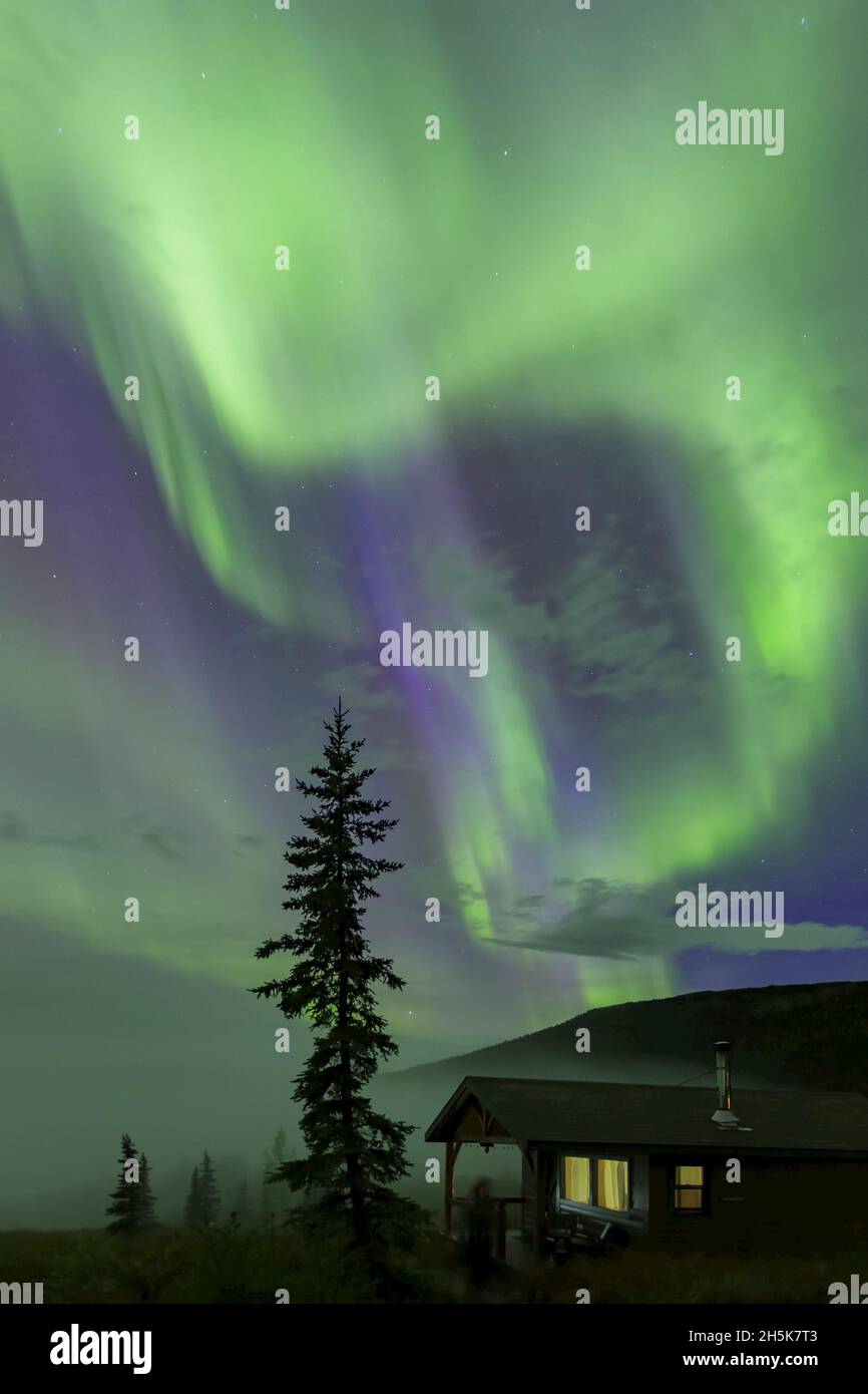 Aurora Borealis, Northern Lights over Camp Denali cabin in Denali