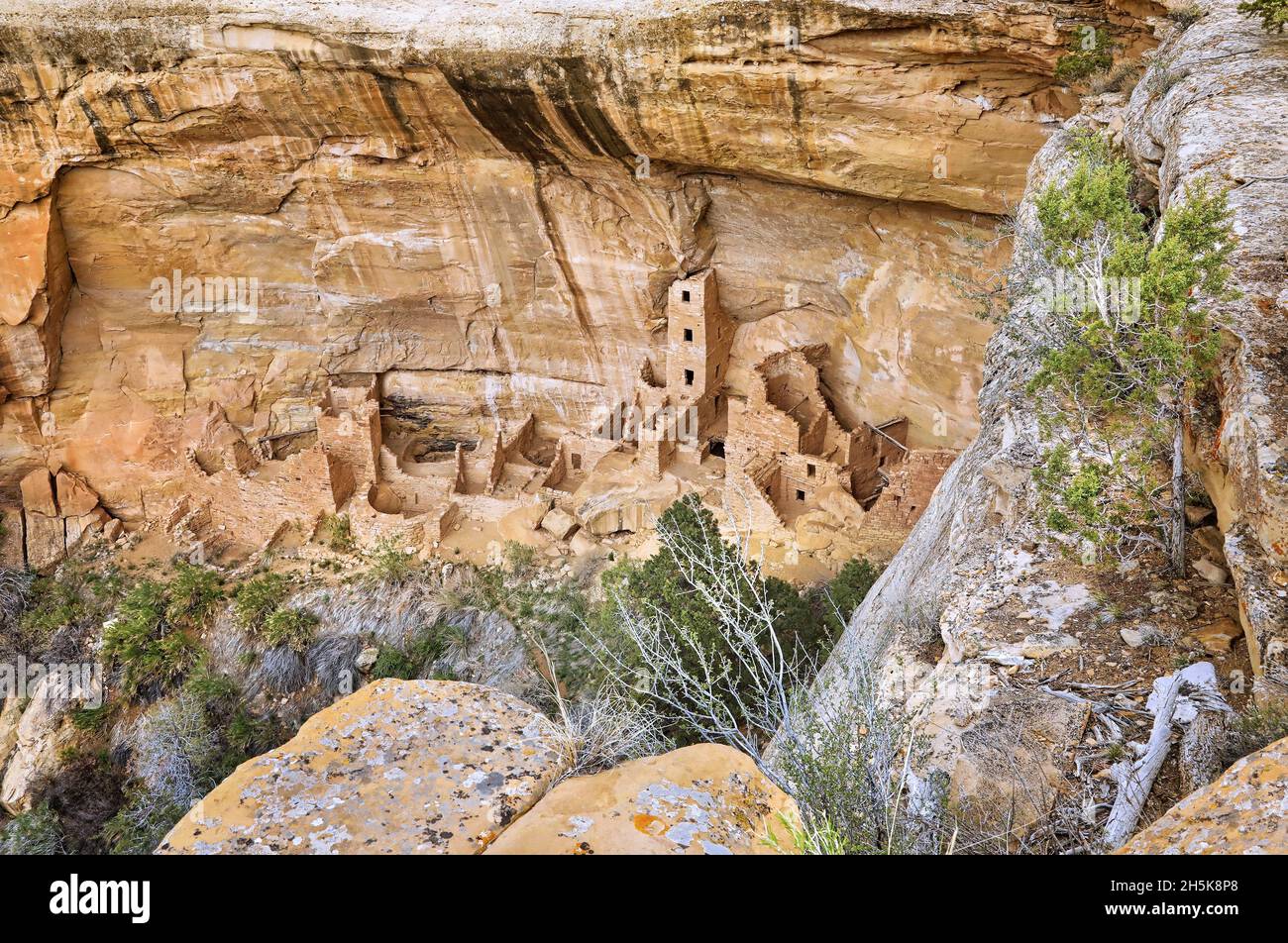 Square Tower House a stone structure carved into the adobe cliffs of the ancient  Pueblos in the Navajo Canyon in Mesa Verde National Park Stock Photo