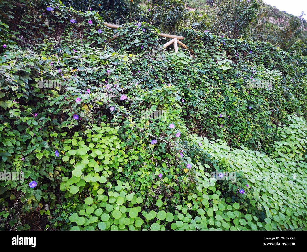 Beautiful view fresh green hi-res stock photography and images - Alamy