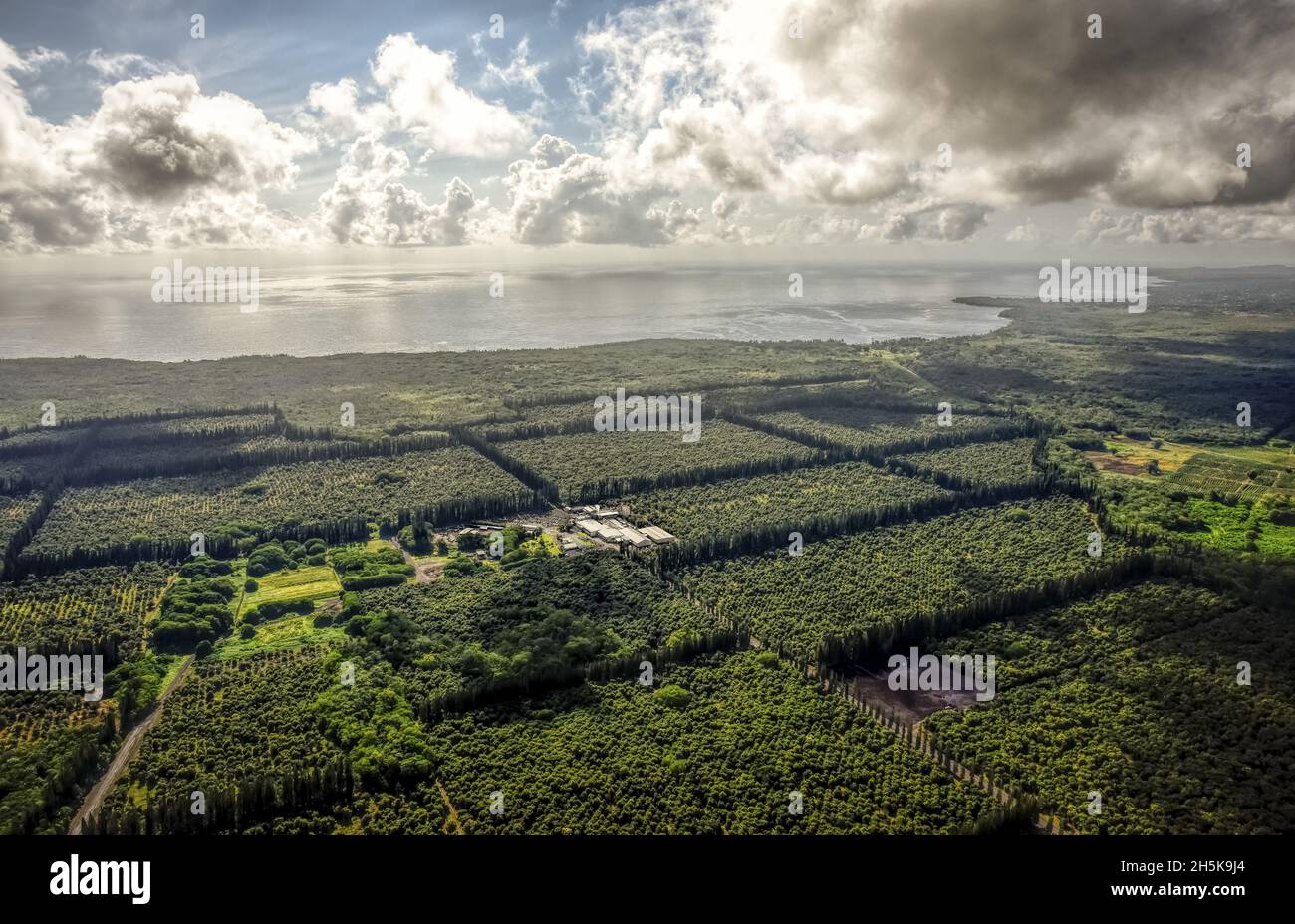 Mauna loa macadamia farm hires stock photography and images Alamy