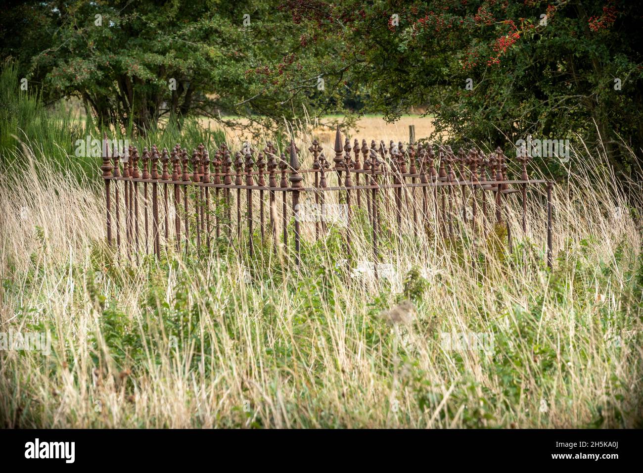 A slab grave surrounded by rusting iron railings many broken in long grass at St John the Baptist church Wantisden Suffolk Stock Photo