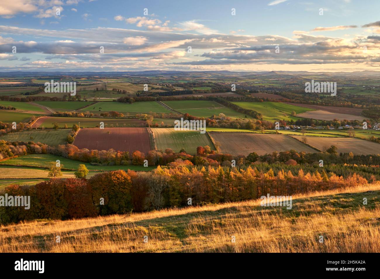 Autumnal View from the summit of the Black Hill near Earlston looking across to the Cheviot Hills and England. Stock Photo