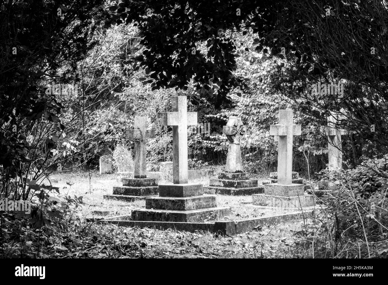 Crucifix stone headstones in a clearing seen through overhanging trees at St Mary and St Peter church Kelsale Suffolk Stock Photo