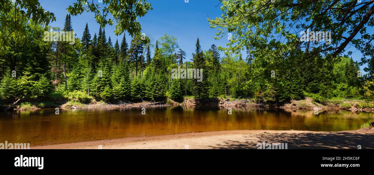 Tranquil scene of water and lush forest in Mont-Tremblant National Park of the Laurentides Region; Quebec, Canada Stock Photo